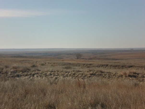Michael Harford's album, Atwood hunting