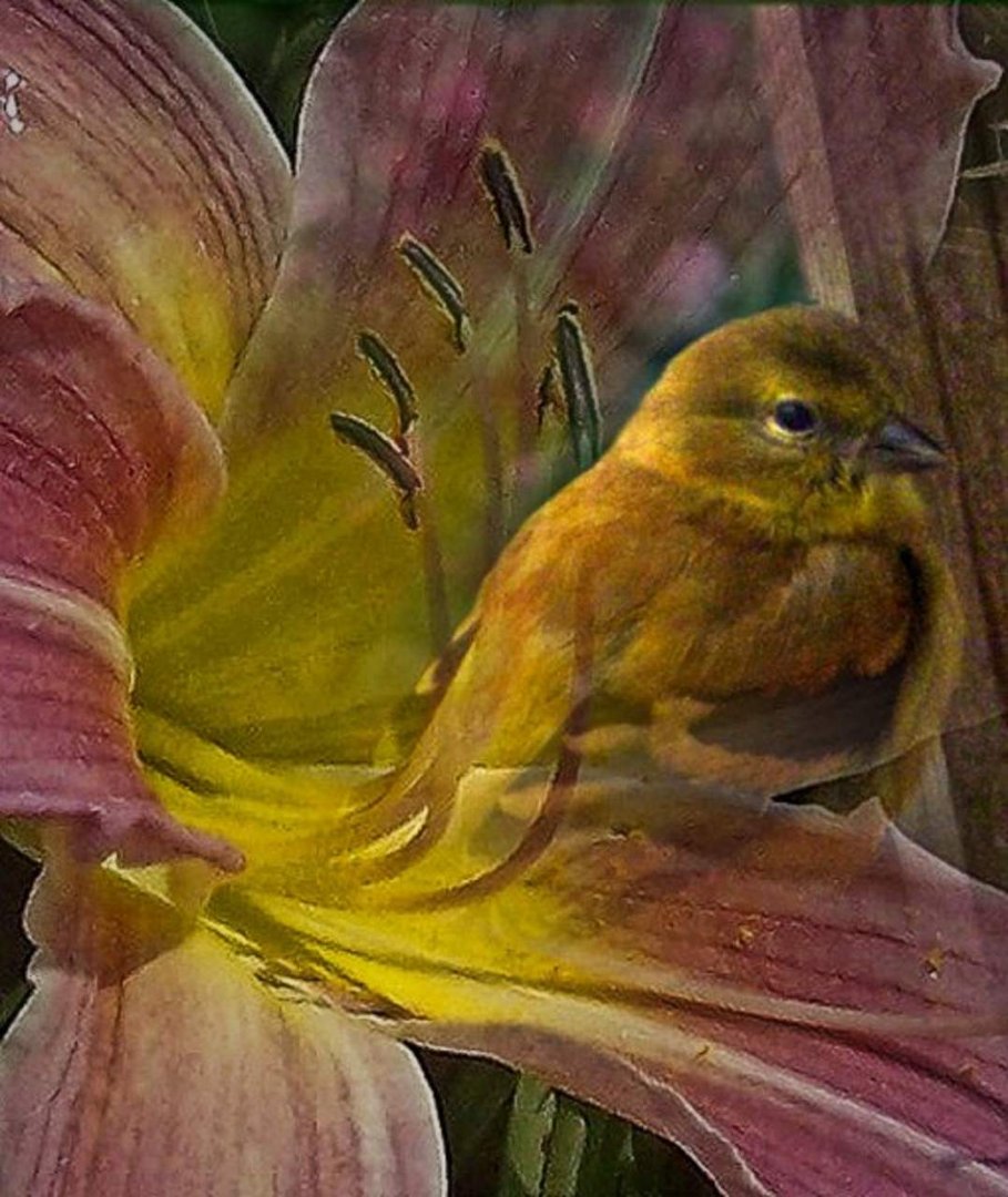Beth Bailey's album, Artistic Interpretation