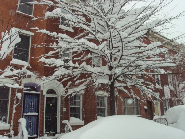 James Geppert's album, winter 2010