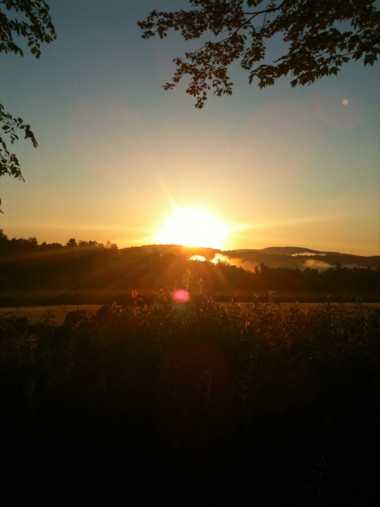 Lynn Horton's album, Cover Photos