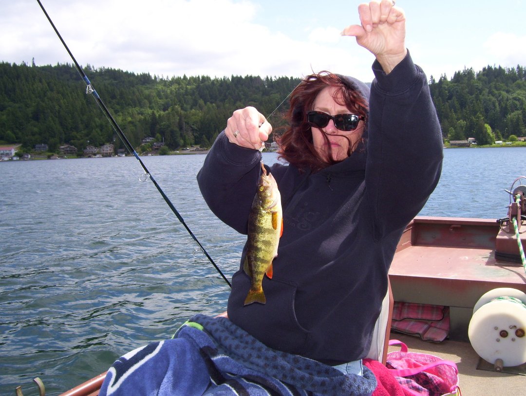 Vickie Lusher's album, Profile Pictures