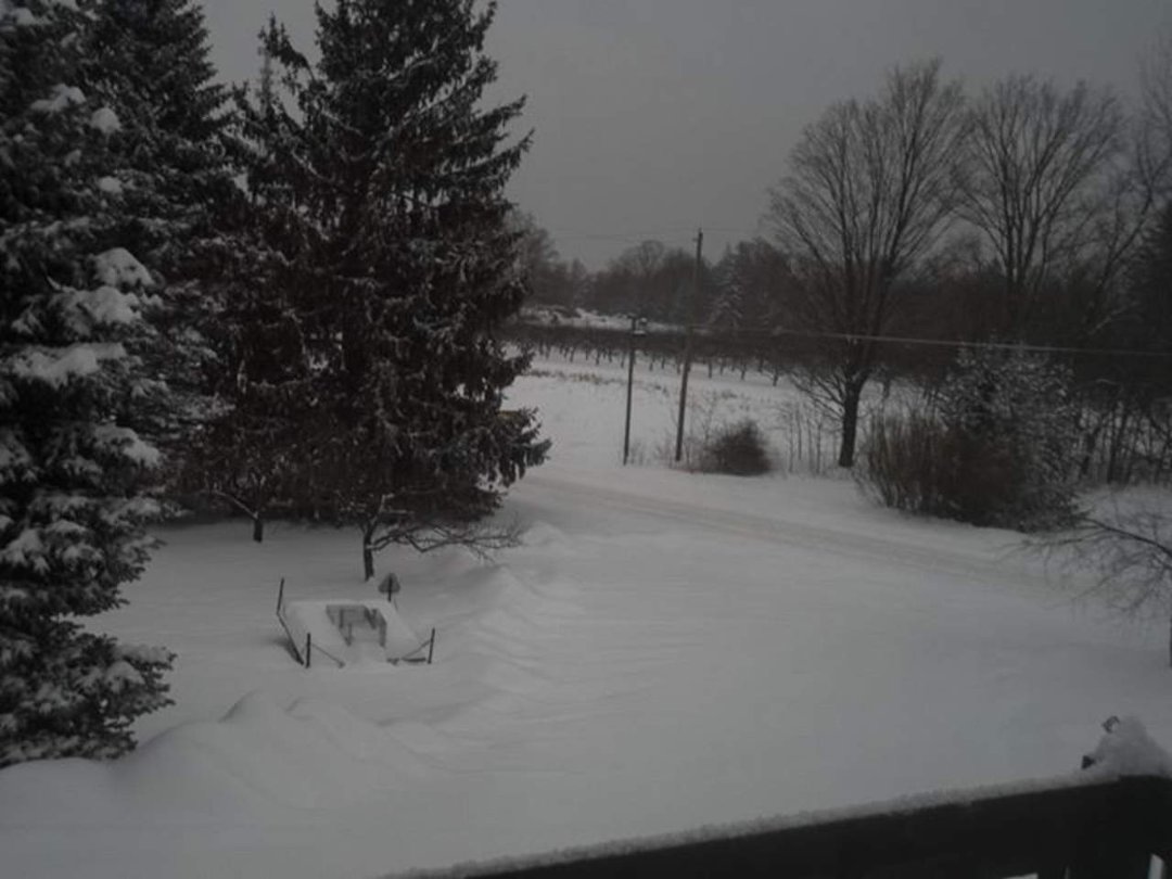 Steven Torma's album, Timeline Photos