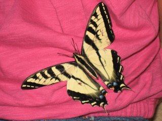 Debbie Wolfe Webster's album, My Photo Album
