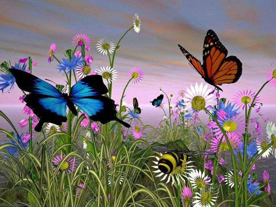 Suzanne Lanham's album, Cover Photos