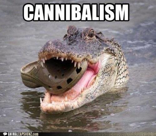 Robert Gallo's album, Timeline Photos