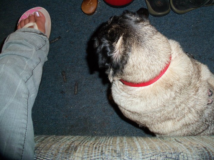 Barbara Reid's album, May 28, 2011