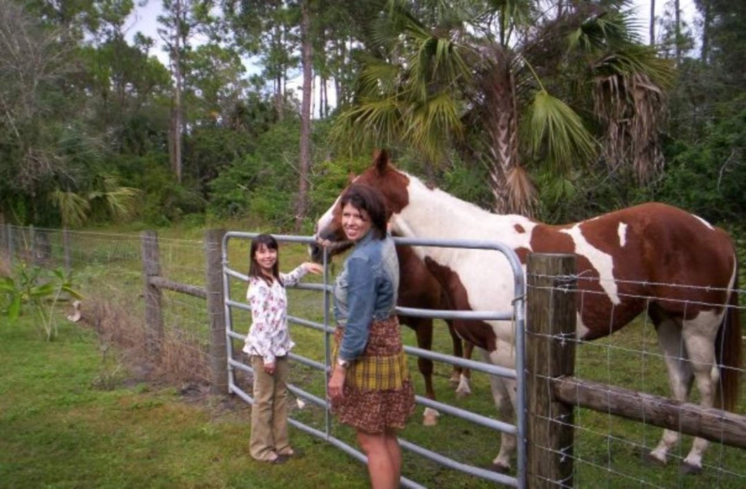 Lori Howard's album, Thanksgiving 2009 ( + a little extra from this year!)