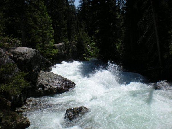 Lynden Kellis' album, Tetons / Yellowstone 2009