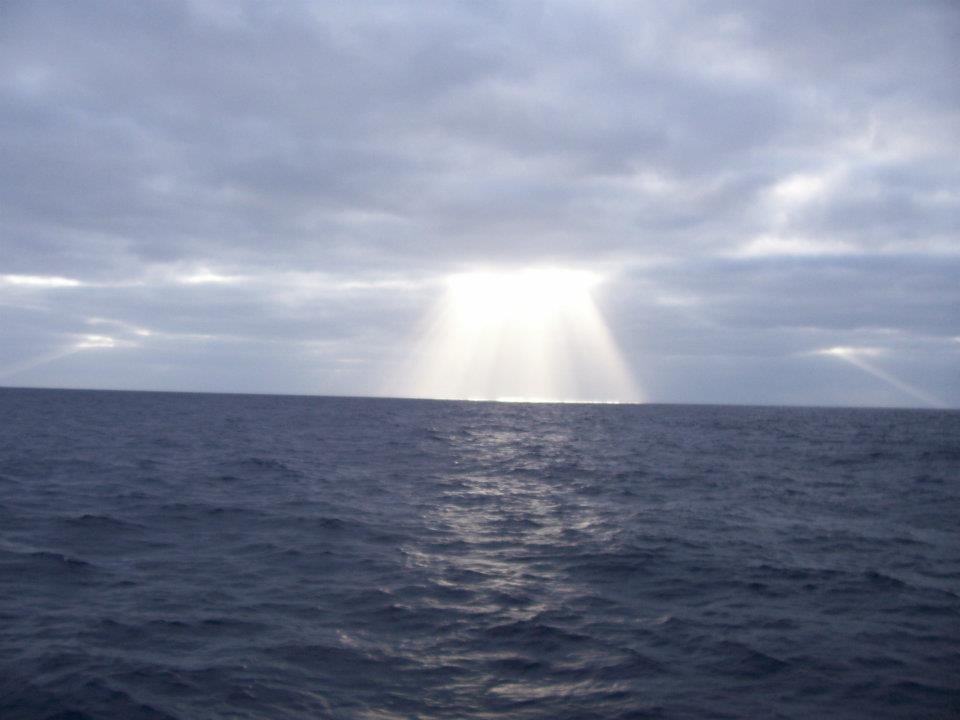 John Ayres' album, Isla Guadalupe