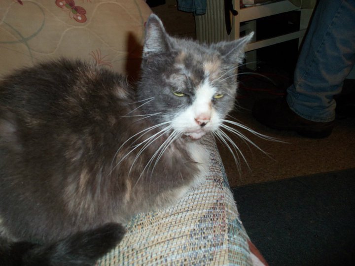 Barbara Reid's album, May 28, 2011