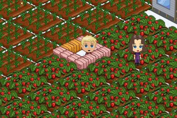 James Ryan's album, FarmVille Photos