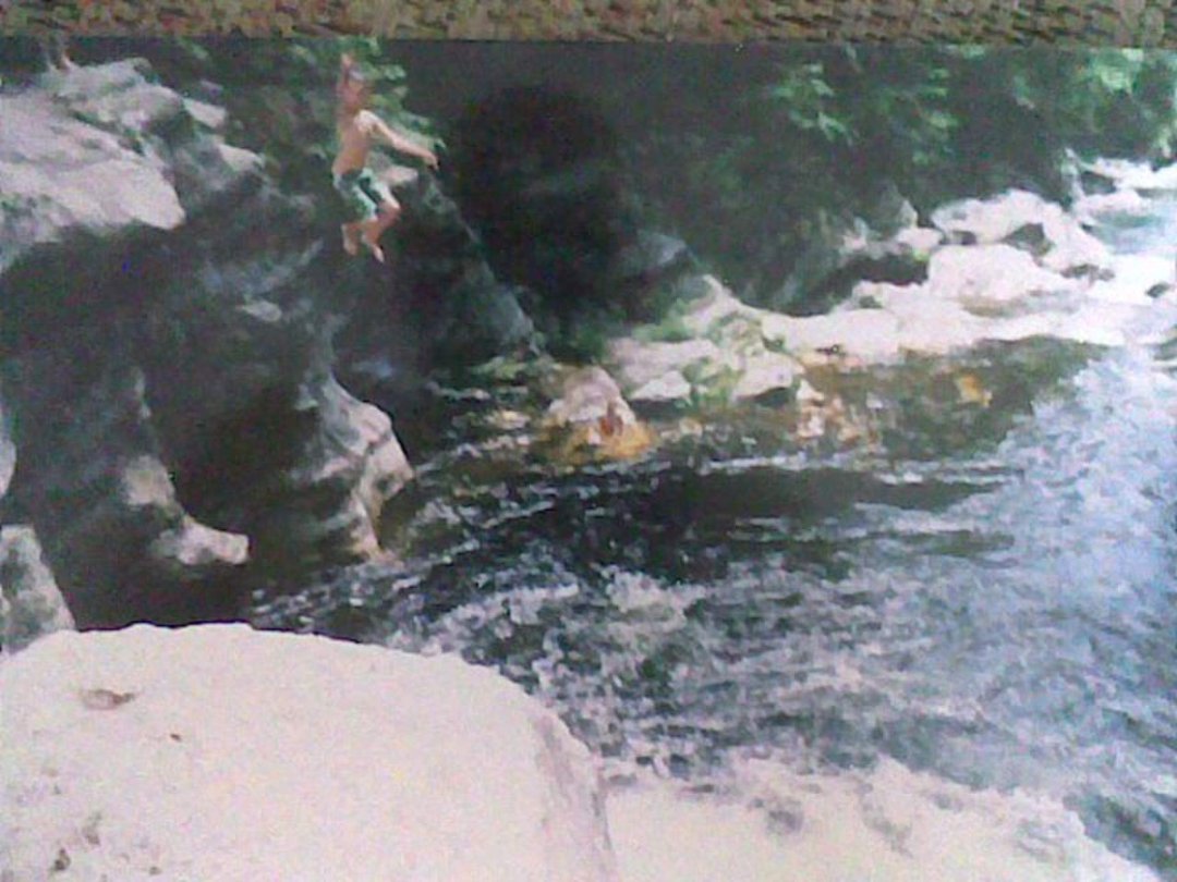 Michael Scammon's album, June 25, 2011