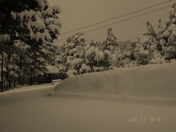 Merrilee Sledge's album, Ruidoso. 2010