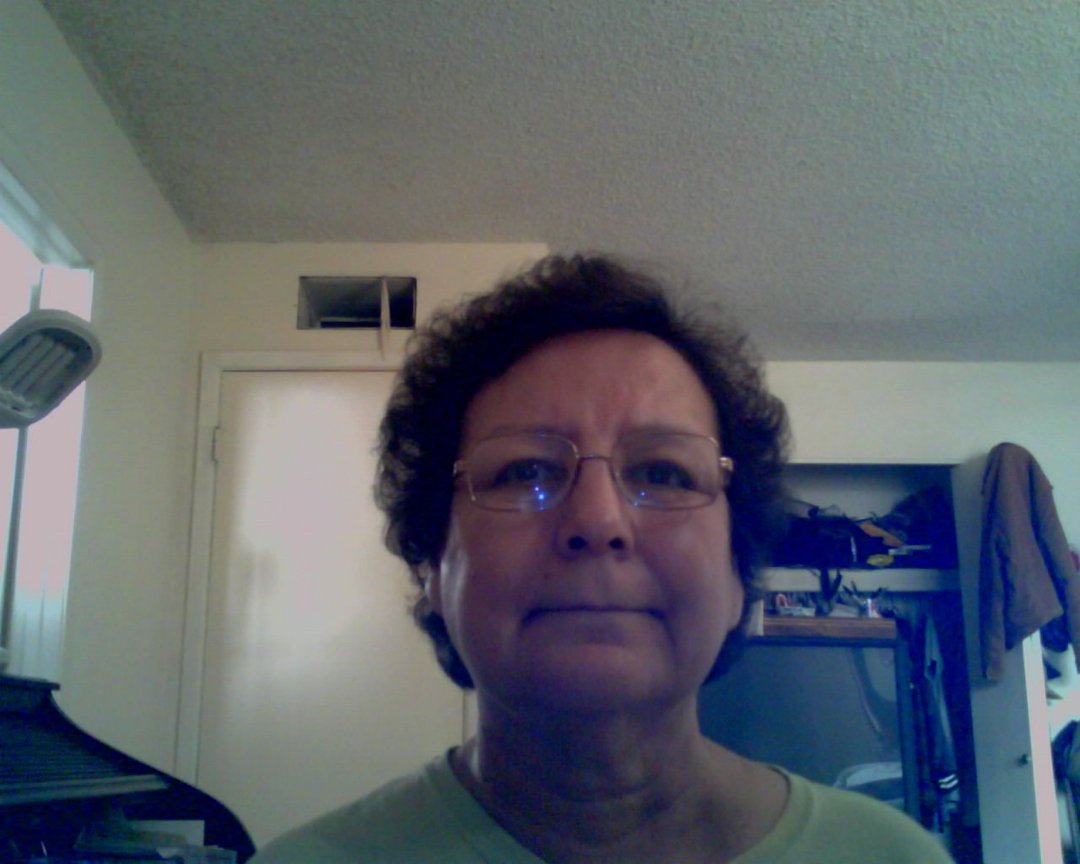 Mary Cook's album, Profile Pictures