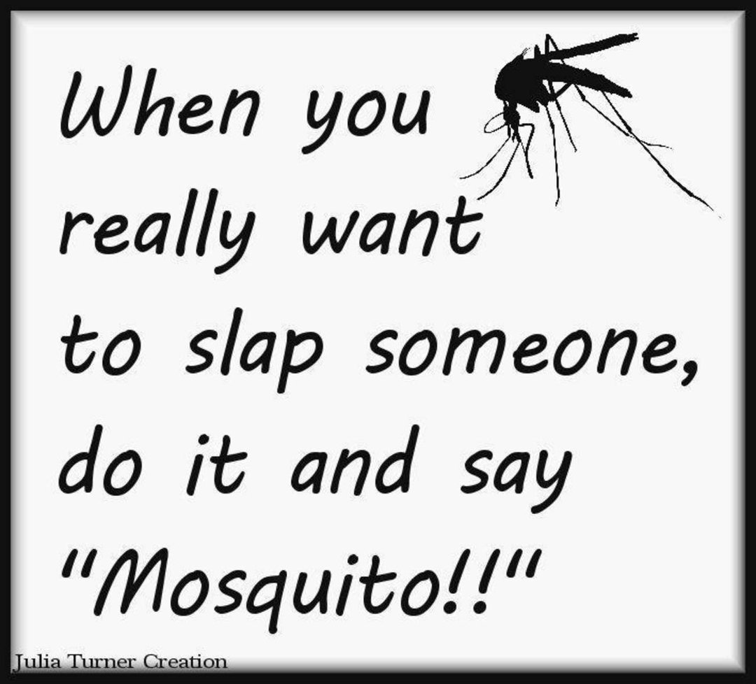 Debbie Cordero's album, Timeline Photos