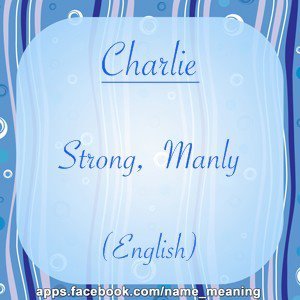 Charles Johnson's album, Name Meaning Photos