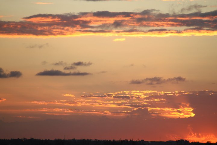 Christopher Garza's album, November 25, 2010