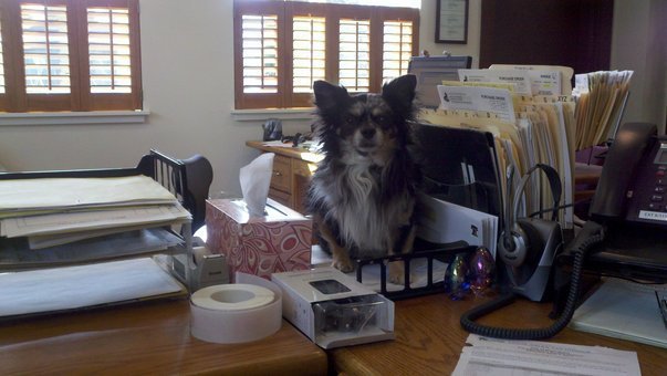 Paula Coburn's album, Cover Photos