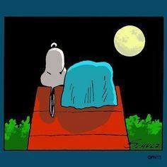 Paul Cricks' album, Timeline Photos