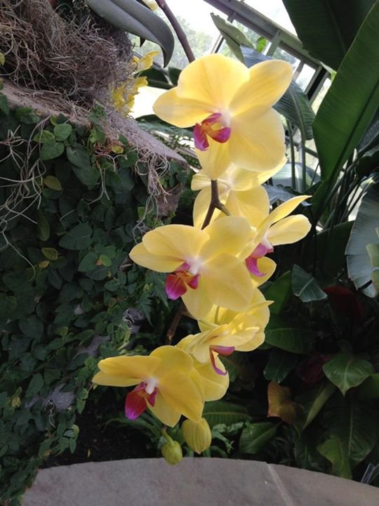 Paula Mirmelstein's album, Mobile Uploads
