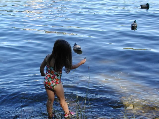 Cheryl Jacobs' album, Summer 2010