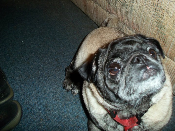 Barbara Reid's album, May 28, 2011