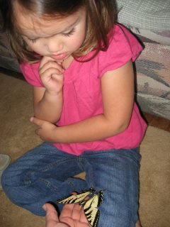 Debbie Wolfe Webster's album, My Photo Album