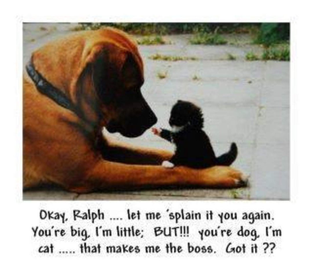 Toni Freeman's album, Timeline Photos