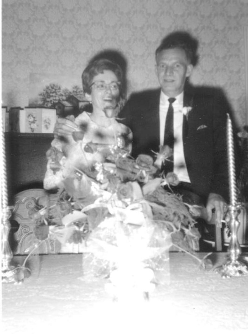 Diane Meyer's album, Profile Pictures