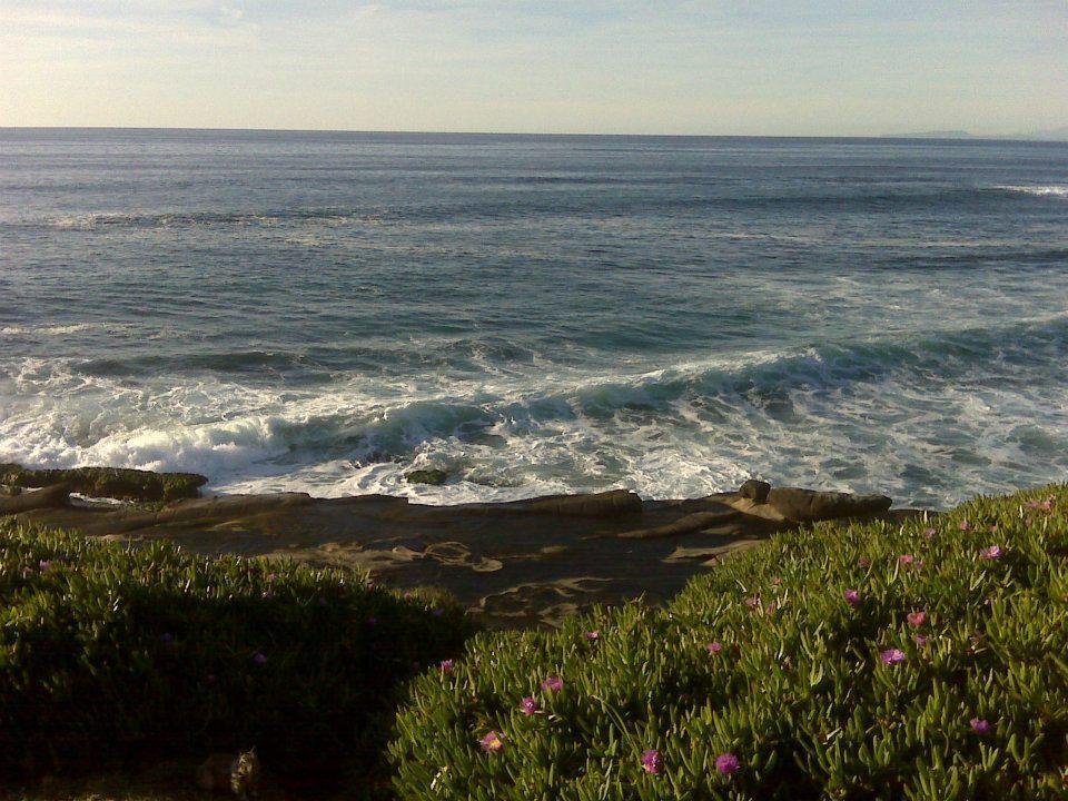Gordon MacShane's album, Torrey Pines and La Jolla