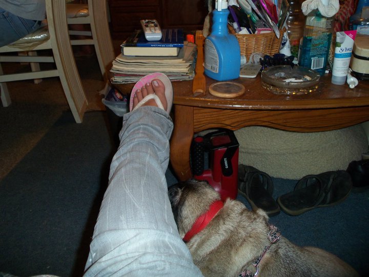 Barbara Reid's album, May 28, 2011