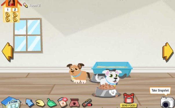 Lisa Barnes' album, Happy Pets photos