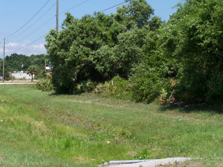 Gail Hoffmann's album, Lots A, B & C Vacant Land