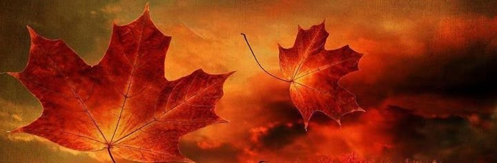 Jane Burk's album, Cover Photos