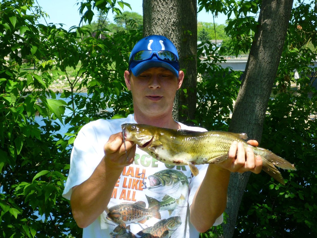 james braun's album, Profile Pictures