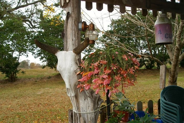 sharon moore's album, Untitled Album