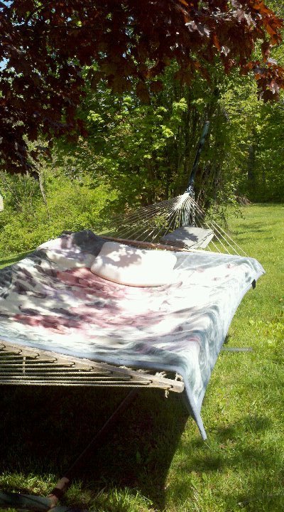 Maureen Gamlin's album, Mobile Uploads