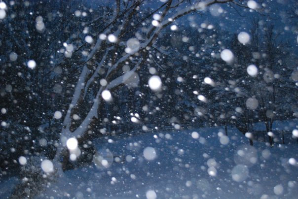 Donna Greenwald's album, winter wonderland