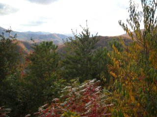 Candy Perez's album, Gatlinburg 2011