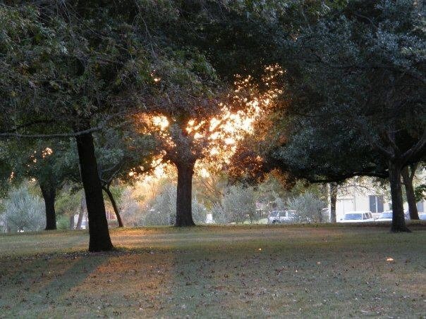 Daniel Dionne's album, Cover Photos
