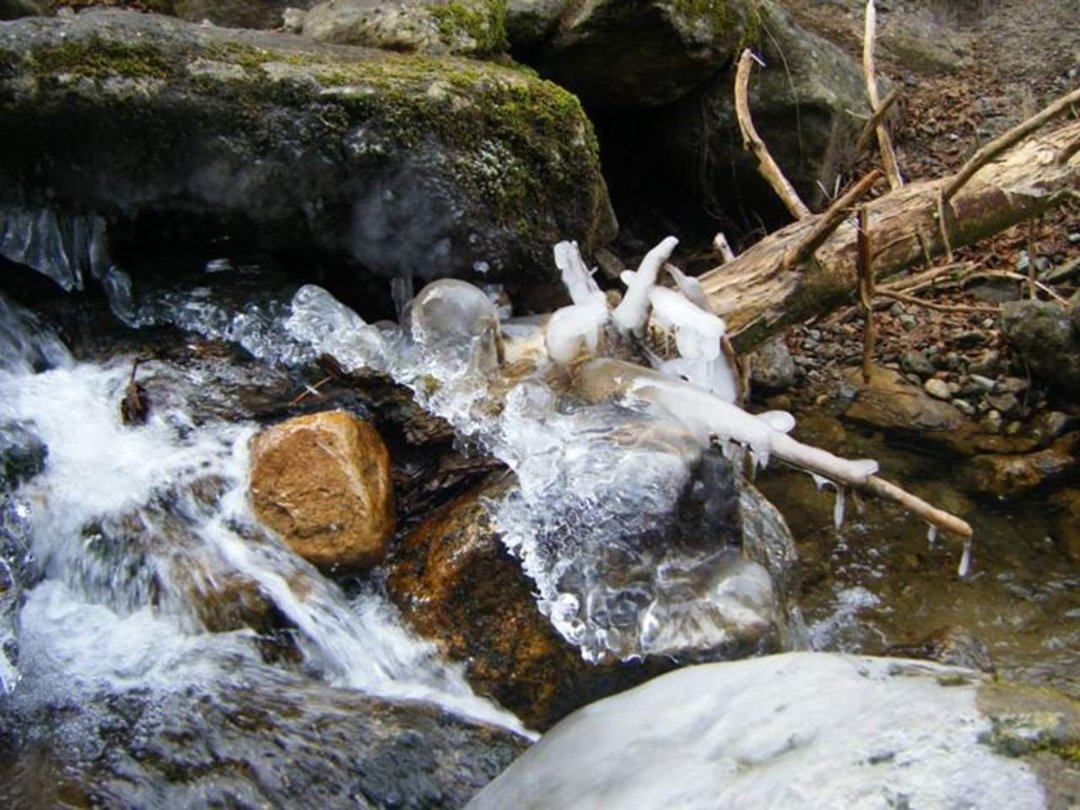 Timothy Brown's album, Mt. Monroe Hike