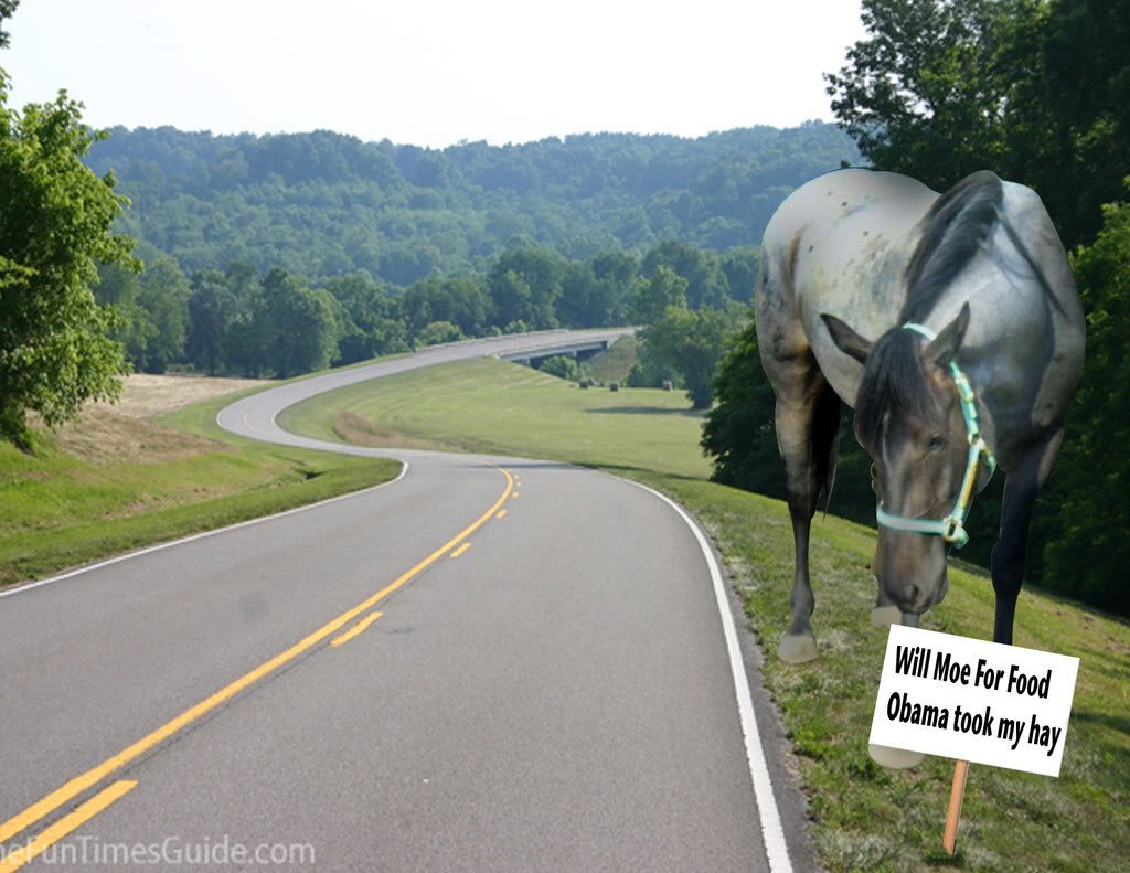 Chris Hawk's album, funny pics