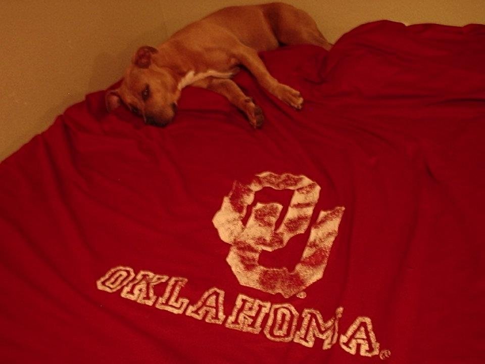Cody Clark's album, Layla