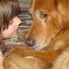 Beth Bottenfield's album, Profile Pictures