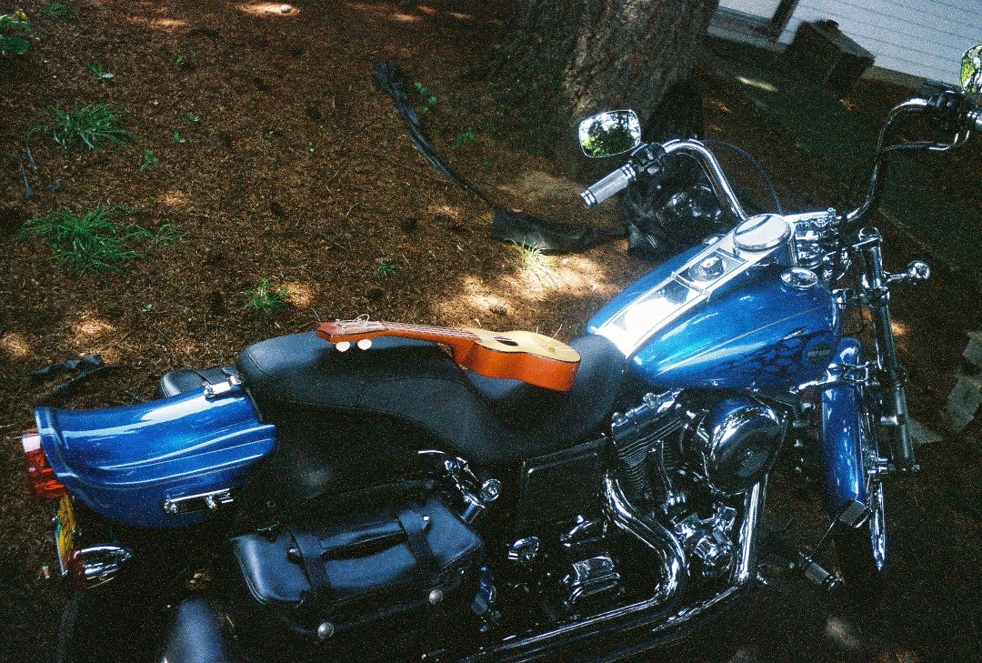 Ron Young's album, Cover Photos