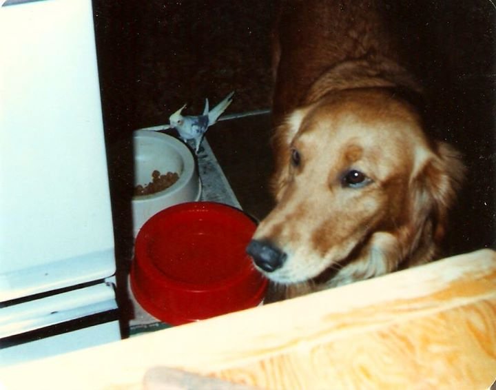 deborah evans' album, Cover Photos