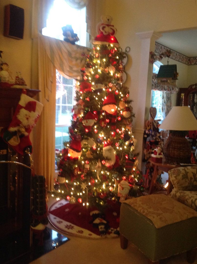 Barbara Spring's album, iOS Photos