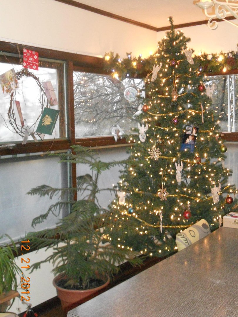 Ellen Hall's album, Christmas 2012