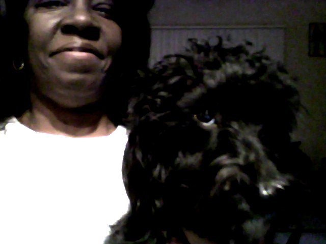 Renee Scott's album, Renee & Sir Midknight He's a very good dog.....
