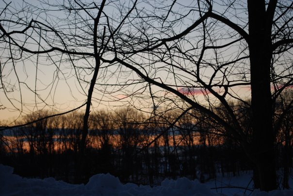 Donna Greenwald's album, snow party 2010
